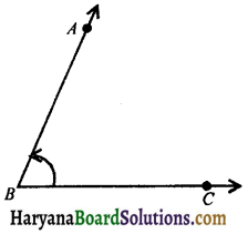 HBSE 9th Class Maths Notes Chapter 6 Lines and Angles 3
