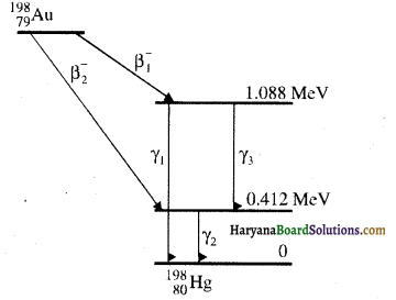 Haryana Board 12th Class Physics Solutions Chapter 13 नाभिक 7