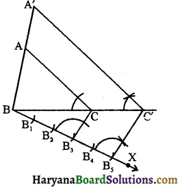 HBSE 10th Class Maths Important Questions Chapter 11 रचनाएँ - 4