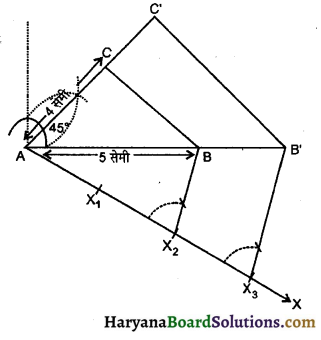 HBSE 10th Class Maths Important Questions Chapter 11 रचनाएँ - 8