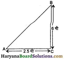 HBSE 10th Class Maths Important Questions Chapter 6 त्रिभुज - 18