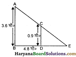 HBSE 10th Class Maths Important Questions Chapter 6 त्रिभुज - 21