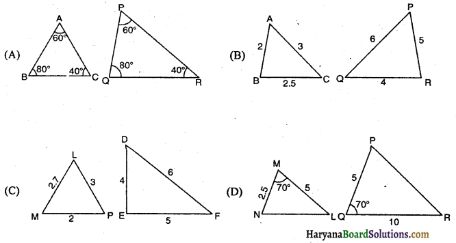 HBSE 10th Class Maths Important Questions Chapter 6 त्रिभुज - 36