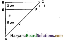 HBSE 10th Class Maths Important Questions Chapter 6 त्रिभुज - 39