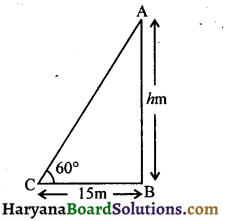 HBSE 10th Class Maths Important Questions Chapter 9 त्रिकोणमिति का अनुप्रयोग - 17