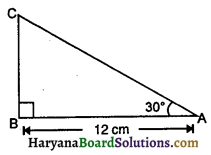 HBSE 10th Class Maths Important Questions Chapter 9 त्रिकोणमिति का अनुप्रयोग - 20