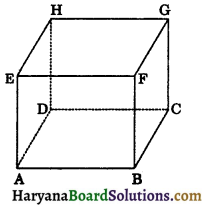 HBSE 9th Class Maths Notes Chapter 13 Surface Areas and Volumes 3