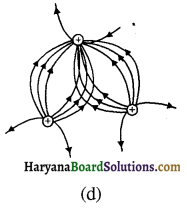 HBSE 12th Class Physics Solutions Chapter 1 वैद्युत आवेश तथा क्षेत्र 13