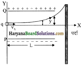 HBSE 12th Class Physics Solutions Chapter 1 वैद्युत आवेश तथा क्षेत्र 19