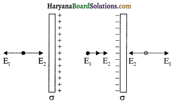 HBSE 12th Class Physics Solutions Chapter 1 वैद्युत आवेश तथा क्षेत्र 9