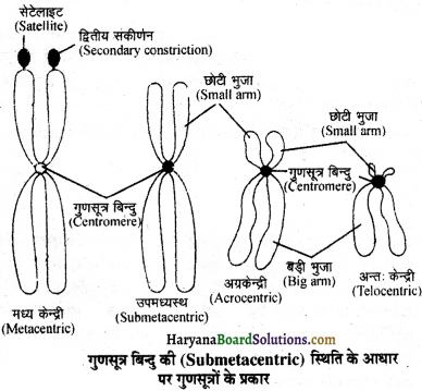 HBSE 11th Class Biology Important Questions Chapter 8 कोशिका जीवन की इकाई - 8