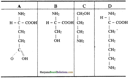 HBSE 11th Class Biology Important Questions Chapter 9 जैव अणु 2