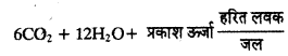 HBSE 11th Class Biology Important Questions Chapter 9 जैव अणु 4