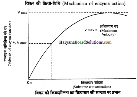 HBSE 11th Class Biology Important Questions Chapter 9 जैव अणु 7