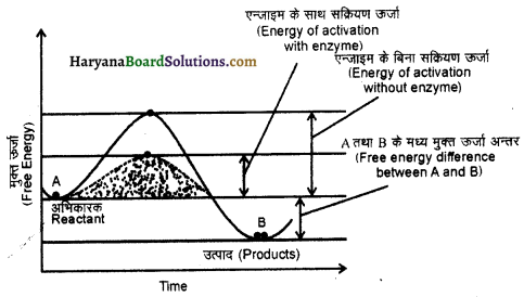 HBSE 11th Class Biology Important Questions Chapter 9 जैव अणु 8