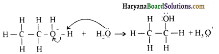 HBSE 12th Class Chemistry Solutions Chapter 11 ऐल्कोहॉल, फीनॉल एवं ईथर 12