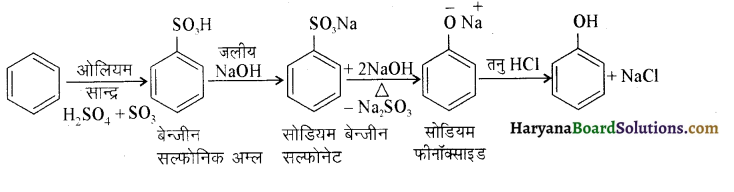 HBSE 12th Class Chemistry Solutions Chapter 11 ऐल्कोहॉल, फीनॉल एवं ईथर 13
