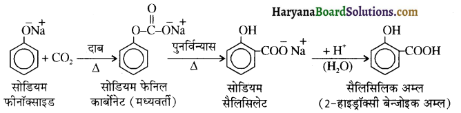 HBSE 12th Class Chemistry Solutions Chapter 11 ऐल्कोहॉल, फीनॉल एवं ईथर 21