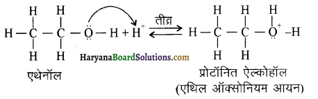 HBSE 12th Class Chemistry Solutions Chapter 11 ऐल्कोहॉल, फीनॉल एवं ईथर 26
