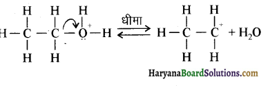 HBSE 12th Class Chemistry Solutions Chapter 11 ऐल्कोहॉल, फीनॉल एवं ईथर 27