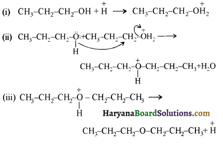 HBSE 12th Class Chemistry Solutions Chapter 11 ऐल्कोहॉल, फीनॉल एवं ईथर 36