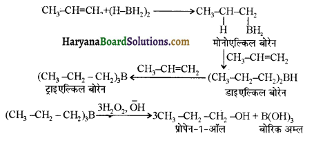 HBSE 12th Class Chemistry Solutions Chapter 11 ऐल्कोहॉल, फीनॉल एवं ईथर 4