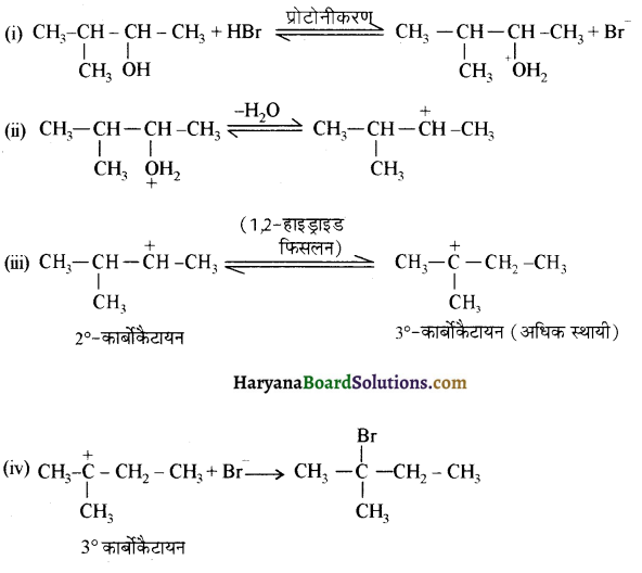 HBSE 12th Class Chemistry Solutions Chapter 11 ऐल्कोहॉल, फीनॉल एवं ईथर 51