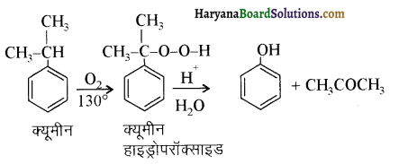 HBSE 12th Class Chemistry Solutions Chapter 11 ऐल्कोहॉल, फीनॉल एवं ईथर 7