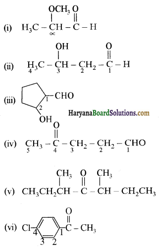 HBSE 12th Class Chemistry Solutions Chapter 12 Img 1