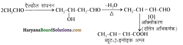 HBSE 12th Class Chemistry Solutions Chapter 12 ऐल्डिहाइड, कीटोन एवं कार्बोक्सिलिक अम्ल 19