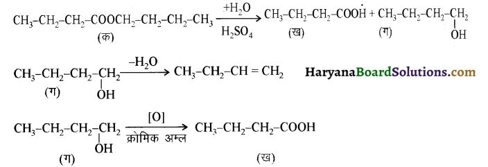 HBSE 12th Class Chemistry Solutions Chapter 12 ऐल्डिहाइड, कीटोन एवं कार्बोक्सिलिक अम्ल 27