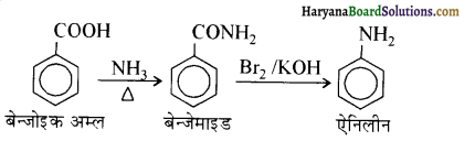HBSE 12th Class Chemistry Solutions Chapter 13 ऐमीन 13