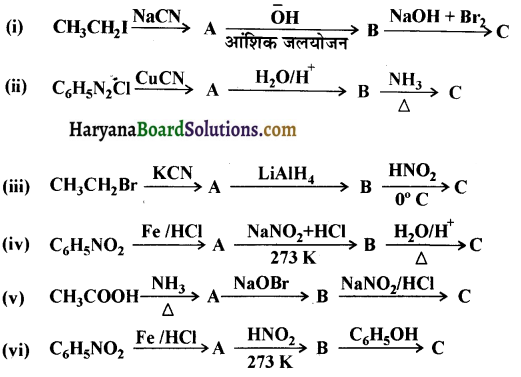 HBSE 12th Class Chemistry Solutions Chapter 13 ऐमीन 20