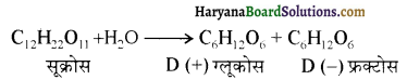 HBSE 12th Class Chemistry Solutions Chapter 14 जैव-अणु 1