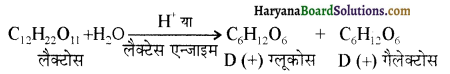 HBSE 12th Class Chemistry Solutions Chapter 14 जैव-अणु 2