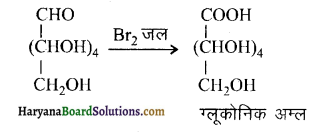 HBSE 12th Class Chemistry Solutions Chapter 14 जैव-अणु 4