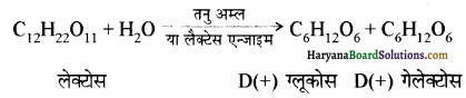 HBSE 12th Class Chemistry Solutions Chapter 14 जैव-अणु Img 9