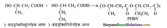 HBSE 12th Class Chemistry Solutions Chapter 15 बहुलक 12