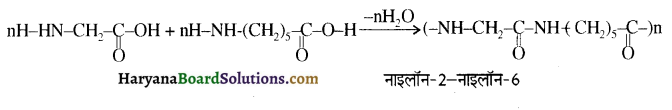 HBSE 12th Class Chemistry Solutions Chapter 15 बहुलक 13