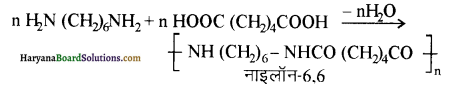 HBSE 12th Class Chemistry Solutions Chapter 15 बहुलक 4
