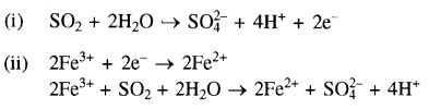 HBSE 12th Class Chemistry Solutions Chapter 7 Img 30
