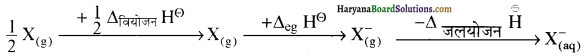 HBSE 12th Class Chemistry Solutions Chapter 7 Img 34