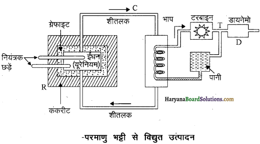 HBSE 12th Class Physics Important Questions Chapter 13 नाभिक 15