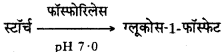 HBSE 11th Class Biology Important Questions Chapter 11 पौधों में परिवहन - 12
