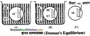 HBSE 11th Class Biology Important Questions Chapter 11 पौधों में परिवहन - 17