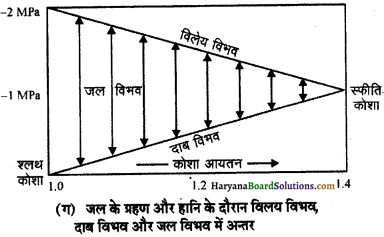 HBSE 11th Class Biology Important Questions Chapter 11 पौधों में परिवहन - 5