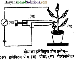 HBSE 11th Class Biology Important Questions Chapter 11 पौधों में परिवहन - 7