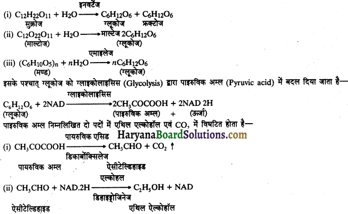 HBSE 11th Class Biology Important Questions Chapter 14 पादप में श्वसन 19