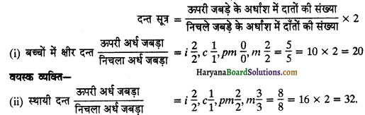 HBSE 11th Class Biology Important Questions Chapter 16 पाचन एवं अवशोषण - 5
