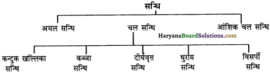 HBSE 11th Class Biology Important Questions Chapter 20 गमन एवं संचलन 5